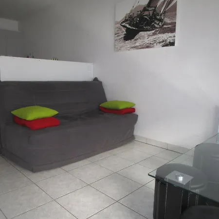Moderne Avec Terrasse A 100m De La Des Sables-d'olonne - Fr-1-197-405 Apartment